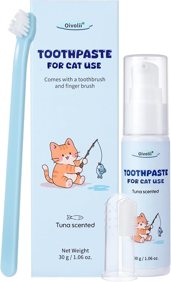 Kid dental para gatos Oivolii recomendado para tutores principiantes que cepillen los dientes de sus gatos.