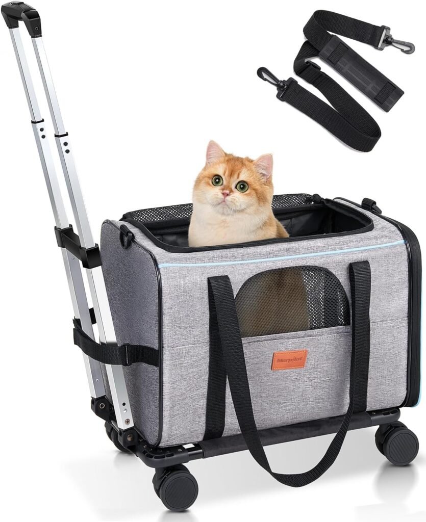 transportín para mudanza con gatos Morpilot
