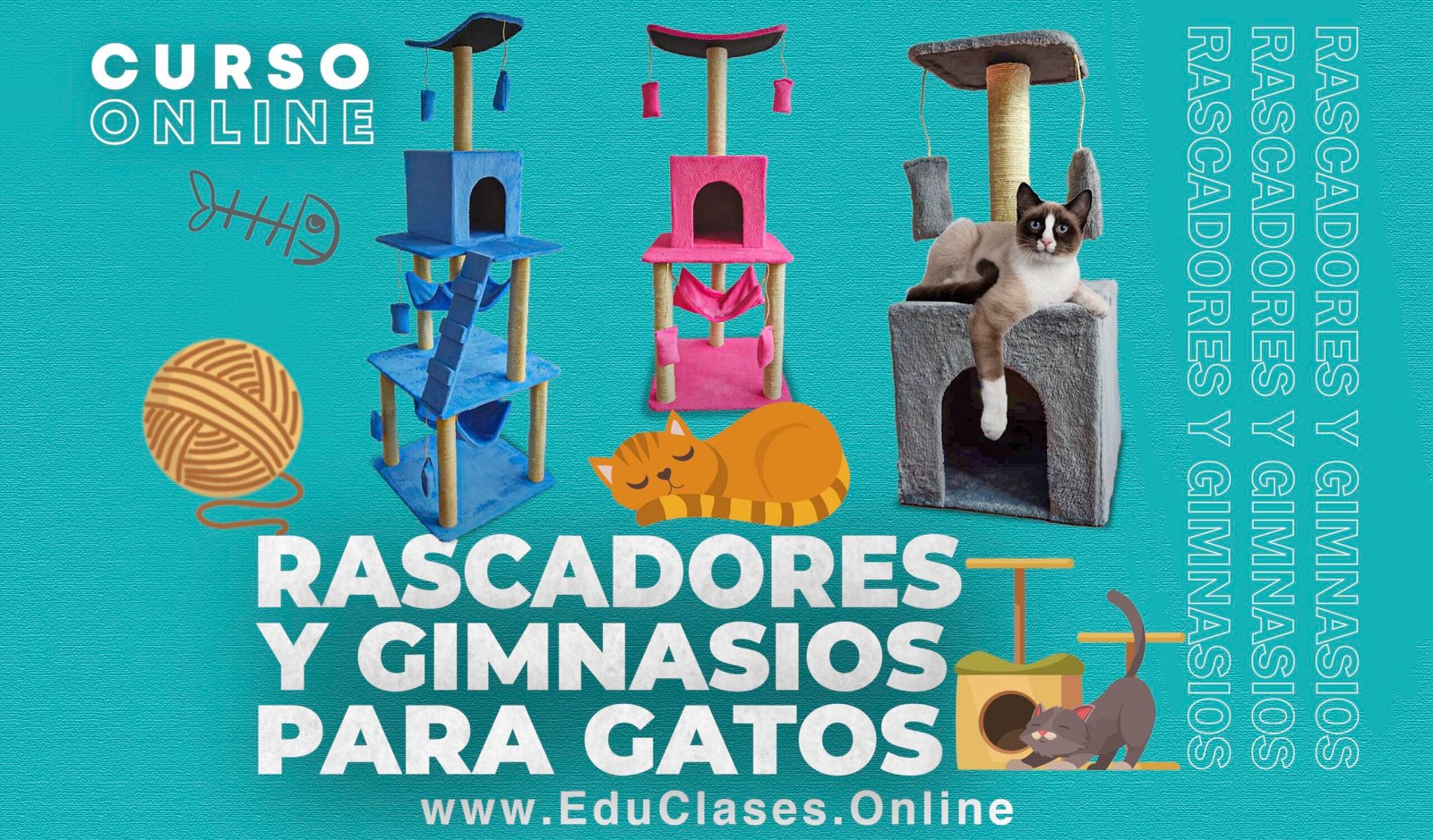 Tres gatos jugando en tres gimnasios para gatos – Curso para construir rascadores y gimnasios para gatos