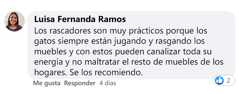 Testimonio 1
