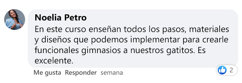 Testimonio 4