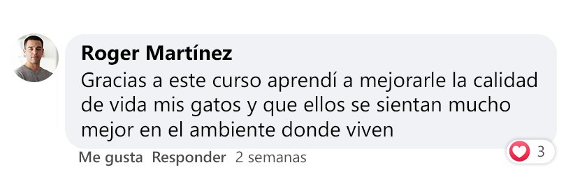 Testimonio 2